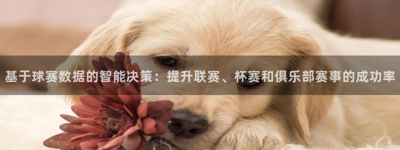  基于球赛数据的智能决策：提升联赛、杯赛和俱乐部赛事的成功率