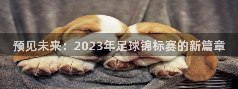 易倍emc全站官网新闻：预见未来：2023年足球锦标赛的新篇