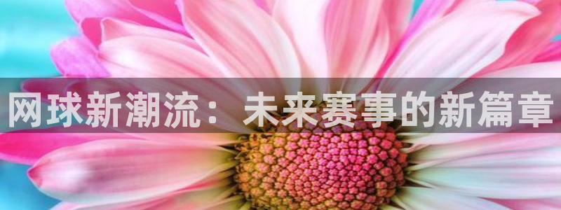 易倍emc网址网页版本登陆：网球新潮流：未来赛事的新篇章