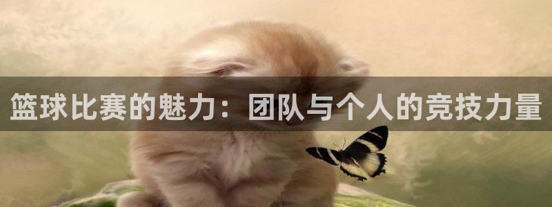  易倍emc安全吗：篮球比赛的魅力：团队与个人的竞技力量