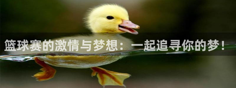  emc32软件安装：篮球赛的激情与梦想：一起追寻你的梦！