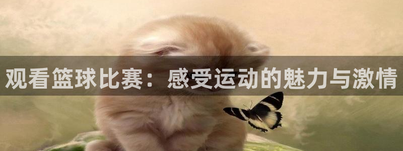 emc易倍·体育可以提款吗：观看篮球比赛：感受运动的魅力与激