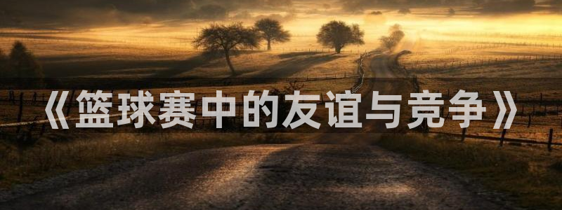  emc软件下载：《篮球赛中的友谊与竞争》